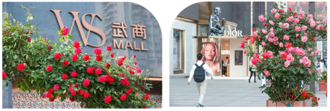 �����ʹ���(463cc) - �ٷ���վ