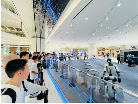 684cf6cf81615 ÓÀÀû»Ê¹¬¡¤(463cc) - ¹Ù·½ÍøÕ¾