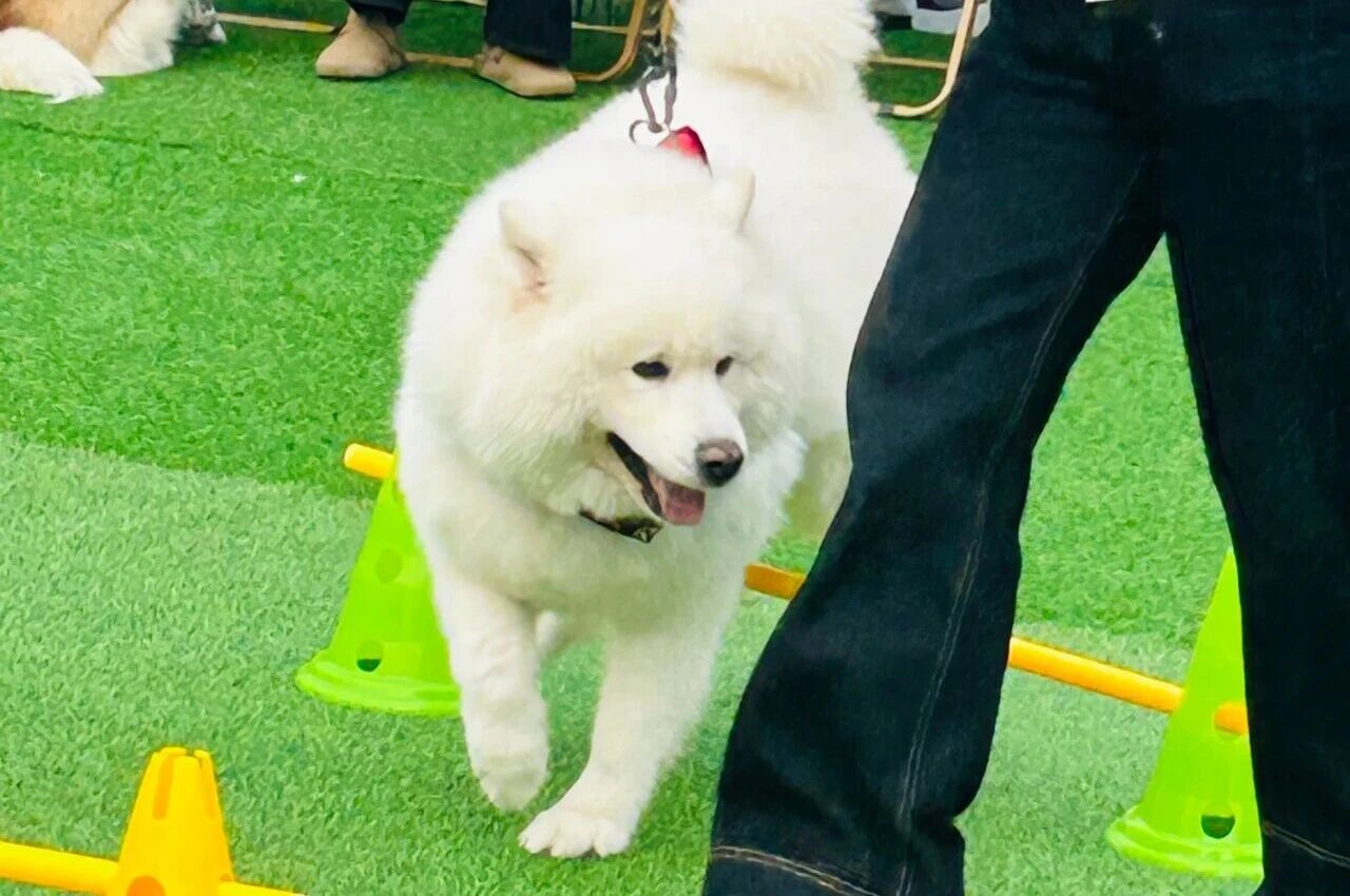 692eb75fca286 ÓÀÀû»Ê¹¬¡¤(463cc) - ¹Ù·½ÍøÕ¾