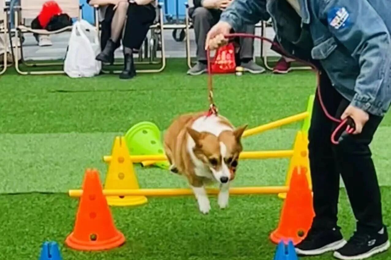 692eb766e2309 ÓÀÀû»Ê¹¬¡¤(463cc) - ¹Ù·½ÍøÕ¾