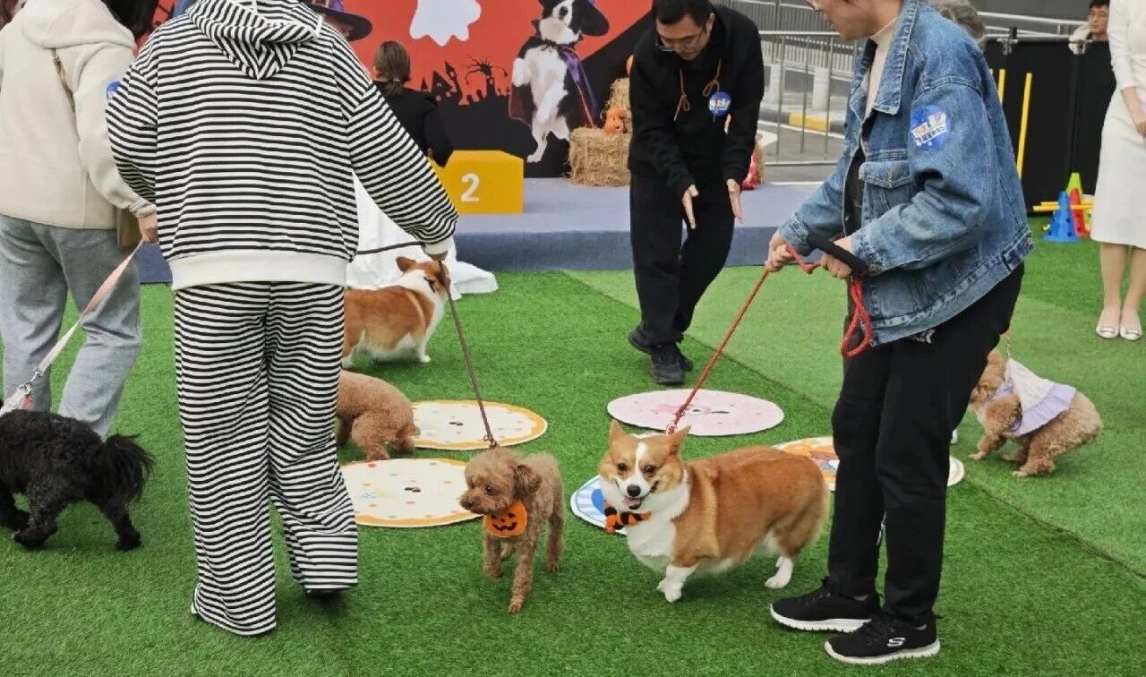 692eb77046c27 ÓÀÀû»Ê¹¬¡¤(463cc) - ¹Ù·½ÍøÕ¾