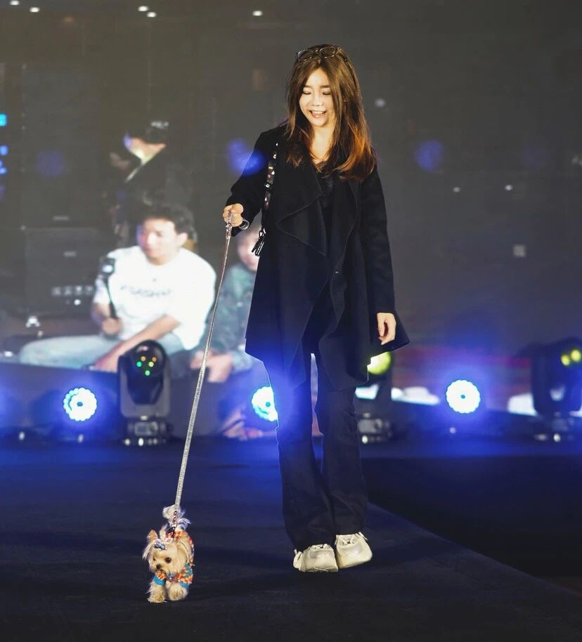 �����ʹ���(463cc) - �ٷ���վ