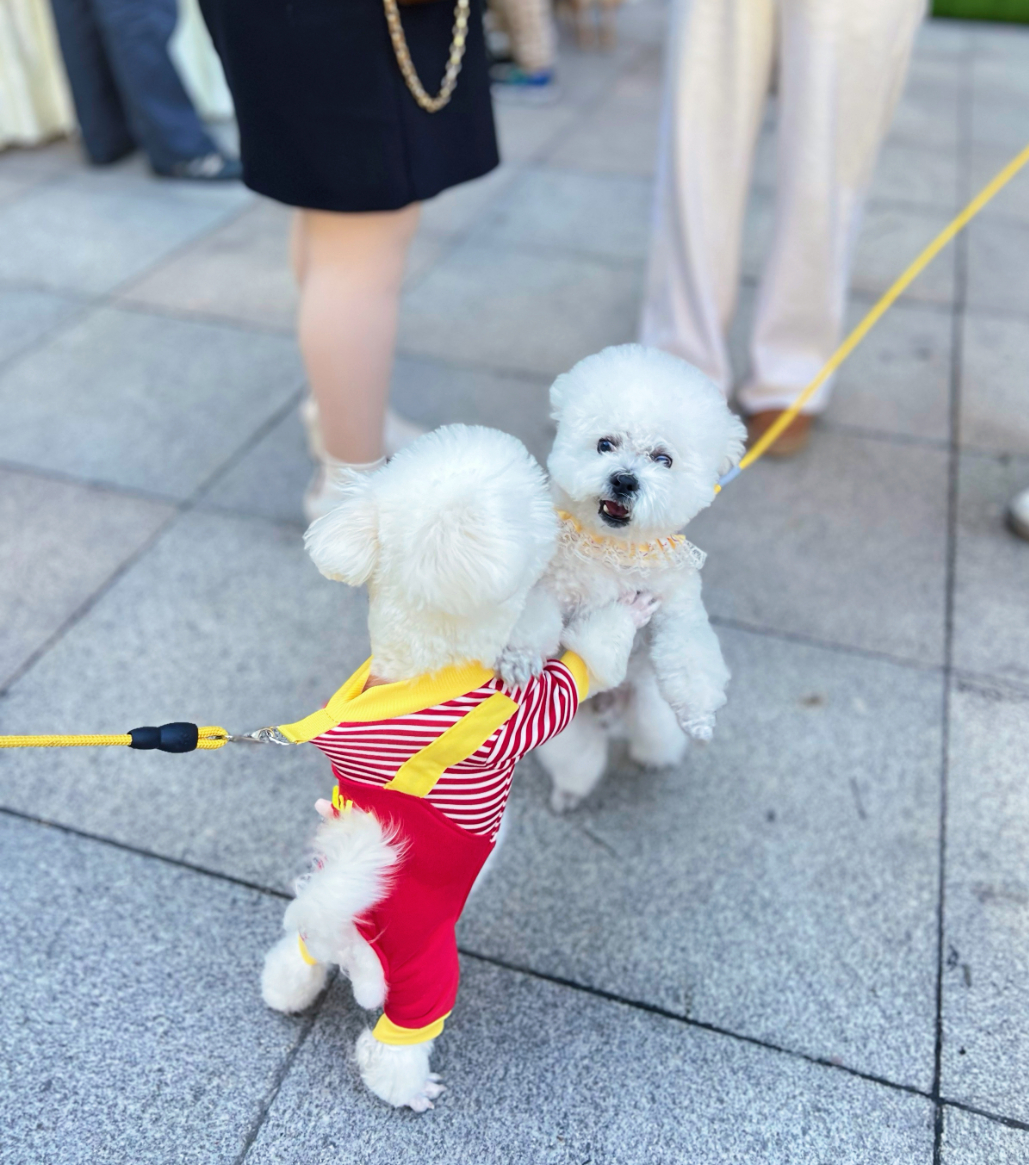 695b6072234f0 永利皇宫·(463cc) - 官方网站