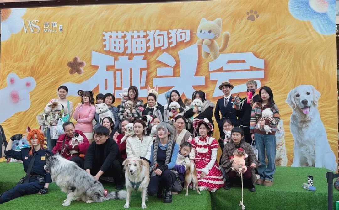 �����ʹ���(463cc) - �ٷ���վ