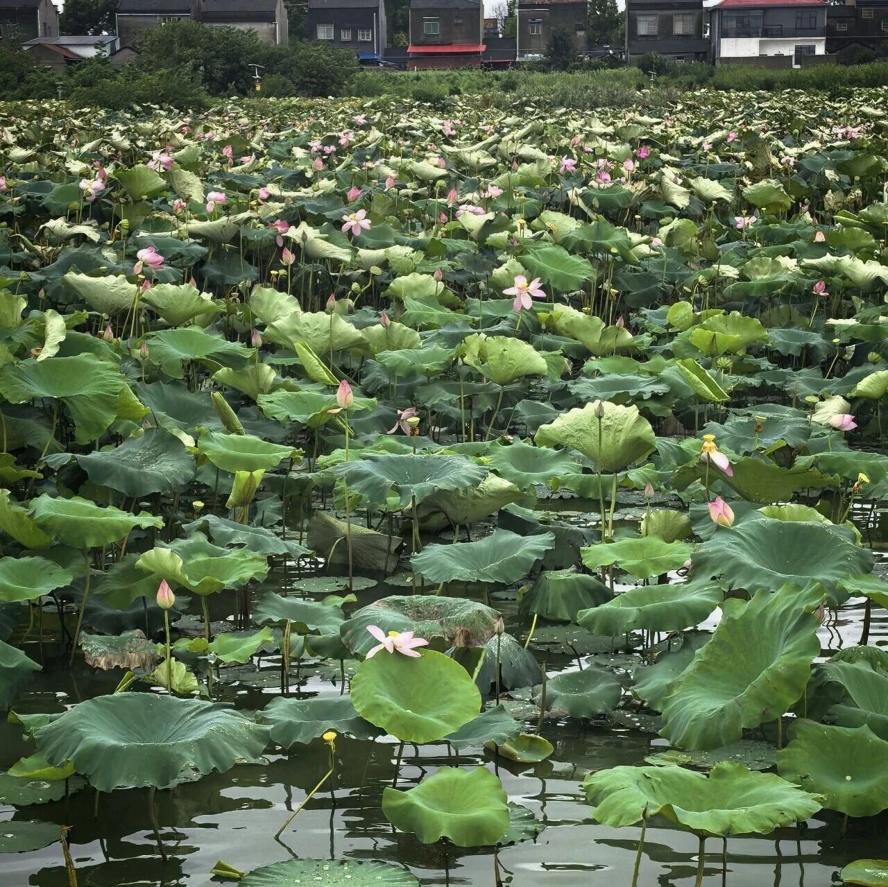 6a90f12d522f7 永利皇宫·(463cc) - 官方网站